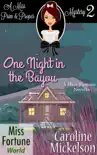 One Night in the Bayou e-book