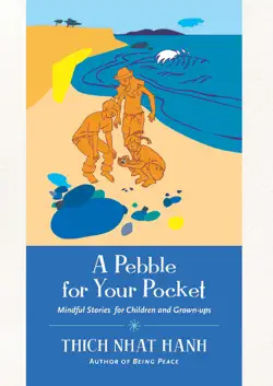 a pebble for your pocket imagen de la portada del libro