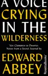 A Voice Crying in the Wilderness synopsis, comments