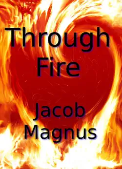 through fire book cover image