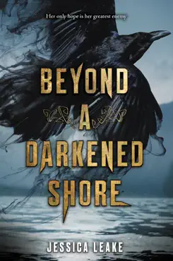 beyond a darkened shore book cover image