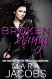 Broken Wings book summary, reviews and downlod