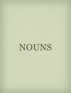 nouns book cover image