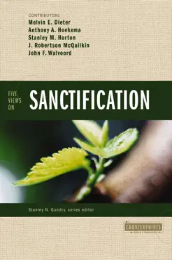 five views on sanctification book cover image