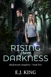 Rising from Darkness synopsis, comments