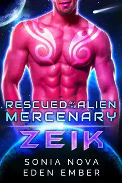 zeik book cover image