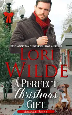 a perfect christmas gift book cover image