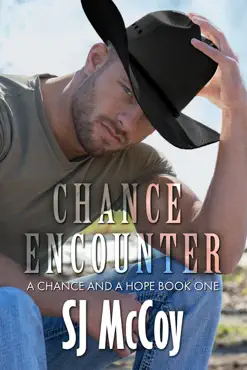 chance encounter book cover image