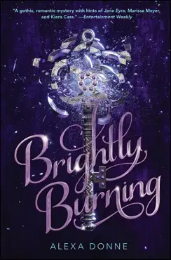 brightly burning book cover image