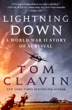 lightning down book cover image