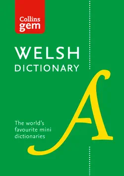 welsh gem dictionary book cover image