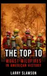 The Top 10 Worst Wildfires in American History synopsis, comments