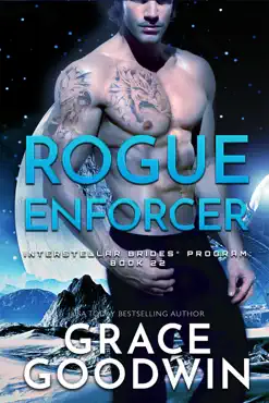 rogue enforcer book cover image