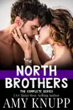 North Brothers the Complete Series synopsis, comments