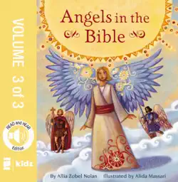 angels in the bible storybook, vol. 3 book cover image