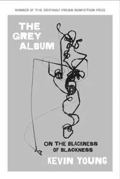the grey album book cover image