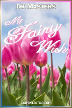 my fairy wish book cover image