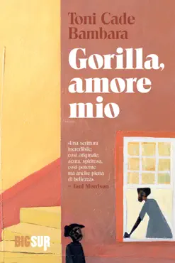 gorilla, amore mio book cover image