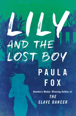 lily and the lost boy book cover image