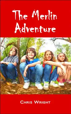 the merlin adventure book cover image