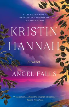 angel falls book cover image