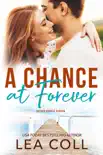 A Chance at Forever synopsis, comments