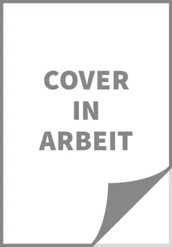sturmflirren book cover image