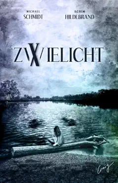 zwielicht 10 book cover image