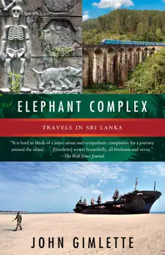 elephant complex book cover image