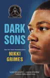 Dark Sons sinopsis y comentarios