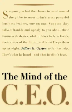 the mind of the ceo book cover image