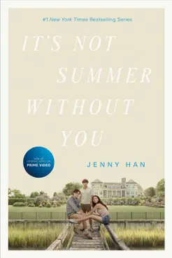 it's not summer without you book cover image