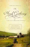 An Amish Gathering synopsis, comments