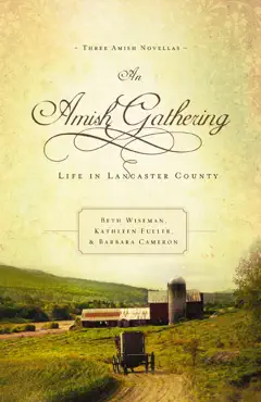 an amish gathering book cover image