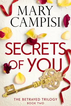 secrets of you book cover image