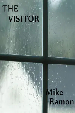 the visitor book cover image