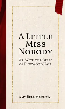 a little miss nobody book cover image