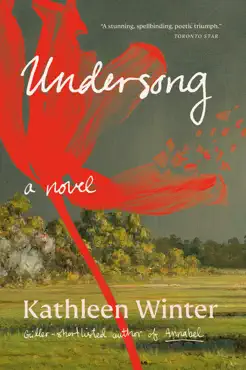 undersong book cover image