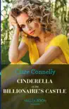 Cinderella In The Billionaire's Castle sinopsis y comentarios