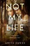 Not My Life synopsis, comments