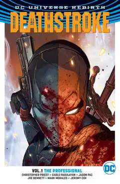deathstroke vol. 1: the professional book cover image