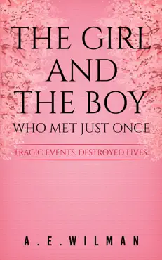 the girl and the boy who met just once book cover image