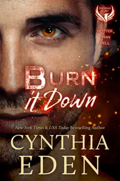 burn it down book cover image
