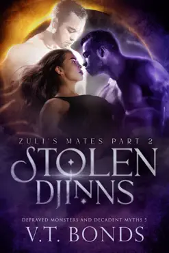stolen djinns imagen de la portada del libro