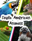 South American Animals synopsis, comments