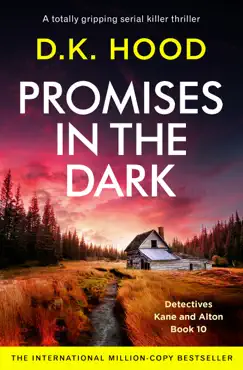 promises in the dark book cover image