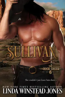sullivan book cover image