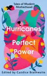 Hurricanes in Perfect Power synopsis, comments
