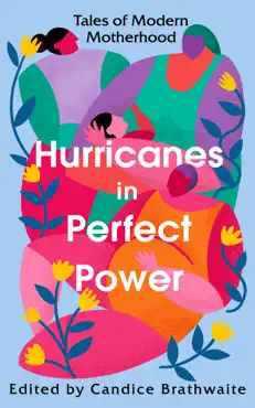 hurricanes in perfect power book cover image