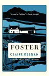 Foster book summary, reviews and download